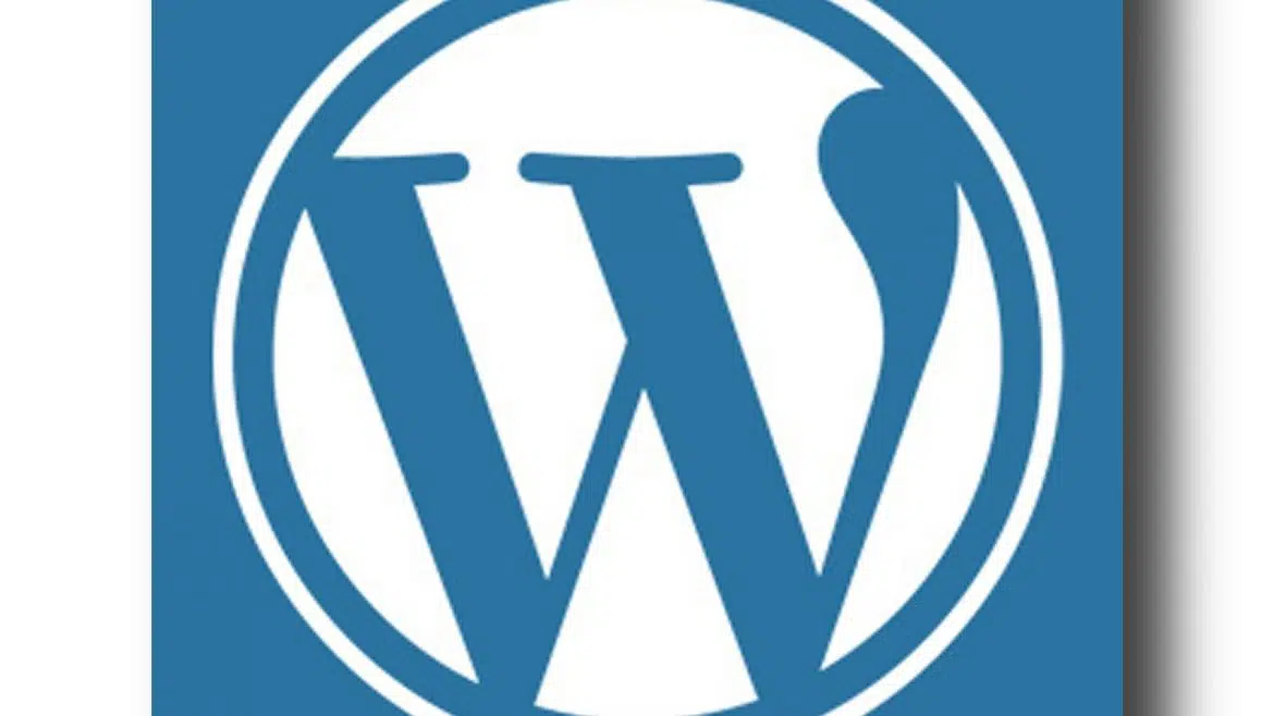 Pourquoi s'allier avec une agence d'assistance et de maintenance WordPress ?